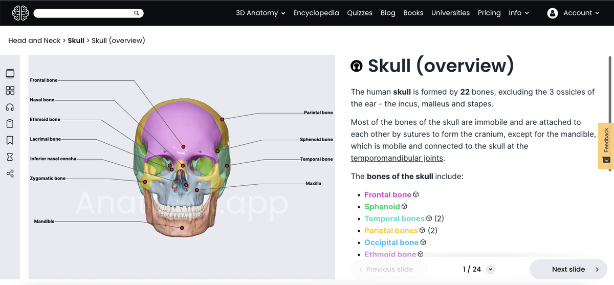 Anatomy.app, 3D article about the skull, overview slide