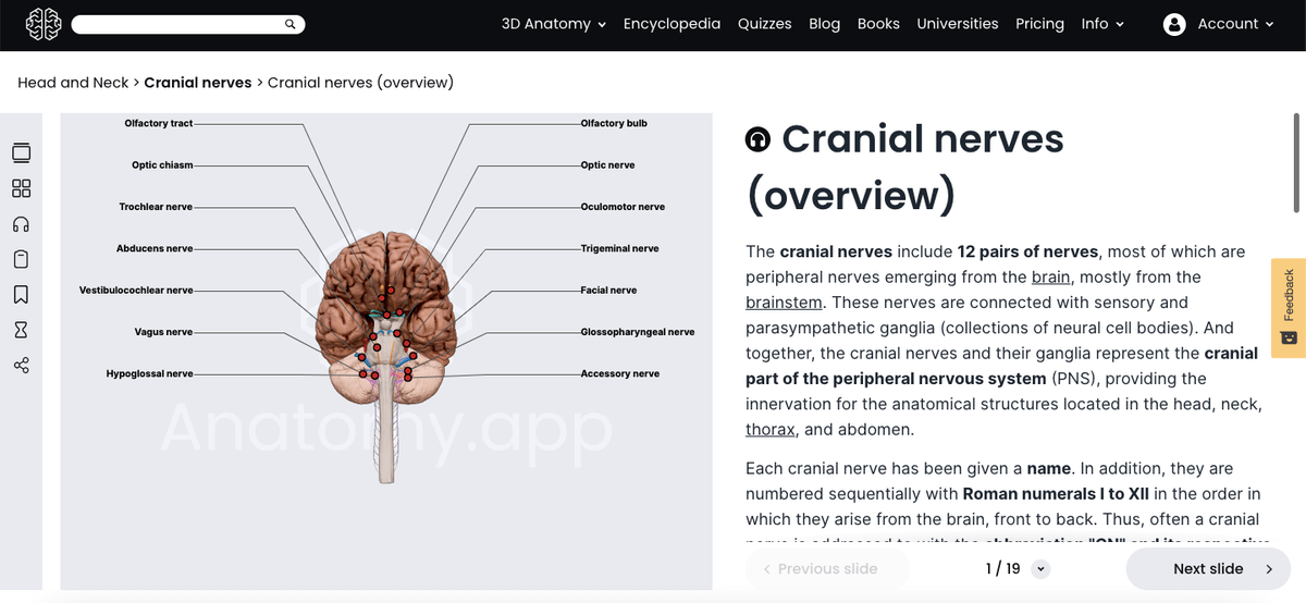 Anatomy.app, Cranial Nerves 3D article, overview slide